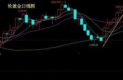 国际黄金期货代理（全球黄金期货代理市场动态分析）